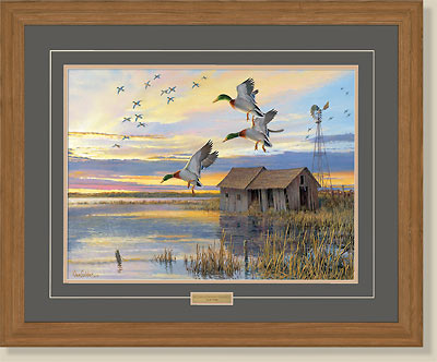 Their Home Again-Mallards by Ron Van Gilder